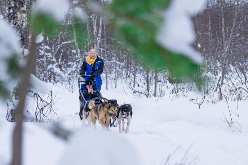 Tromsø: Dog Sledding Adventure at Camp Aspemo - Exploring the Experience