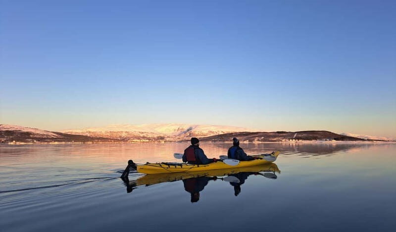 Tromsø: Easy Winter Kayaking Tour with Seal Watching - A Closer Look at the Tromsø Winter Kayaking Tour