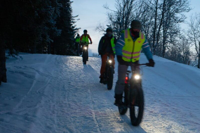 tromso-electric-fatbike-trip-on-winter-paths