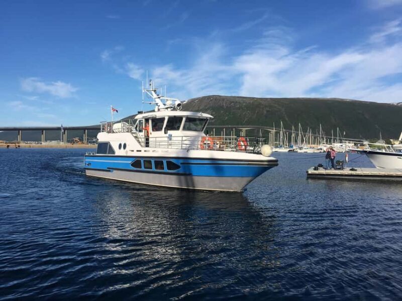Tromsø: Evening Sightseeing Cruise All-inclusive - The Sum Up