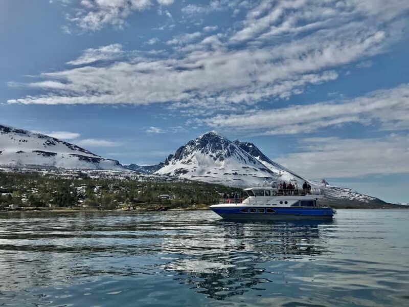 Tromsø: Evening Sightseeing Cruise All-inclusive - FAQ