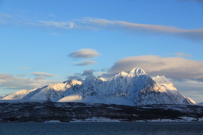 Tromsø: Exclusive Fjord Adventure by Bus - Authentic Moments Reported by Reviewers
