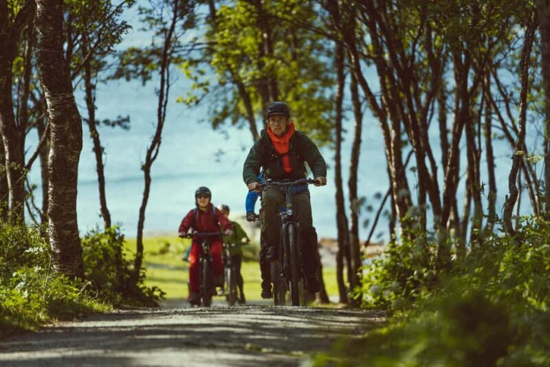 Tromsø: Explore Tromso by E-bike - Key Points