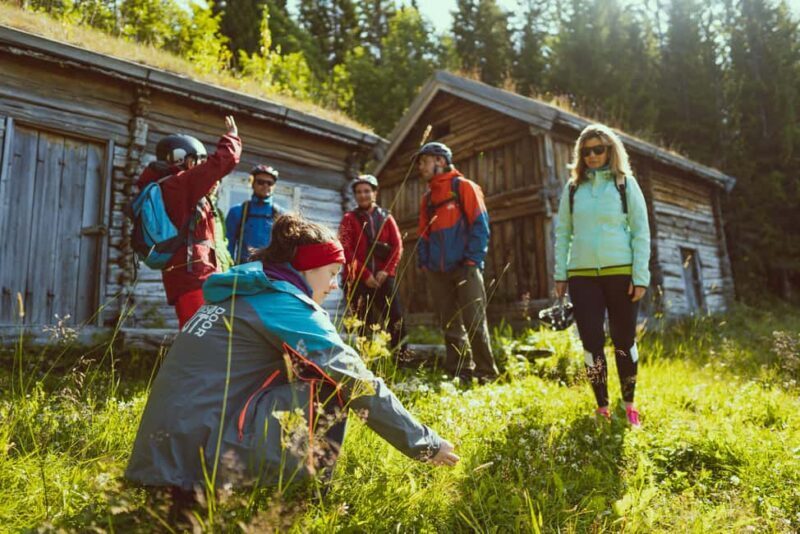 Tromsø: Explore Tromso by E-bike - The Practicalities and Value