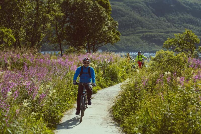 Tromsø: Explore Tromso by E-bike - The Sum Up