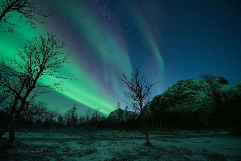 Tromsø: Express Aurora Hunt - Final Thoughts
