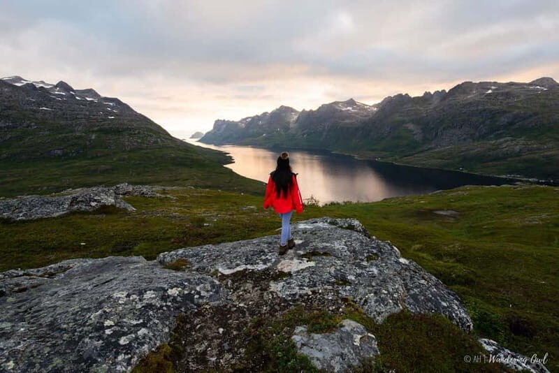 Tromsø: Express Summer Day Hike in the wilderness - Introduction