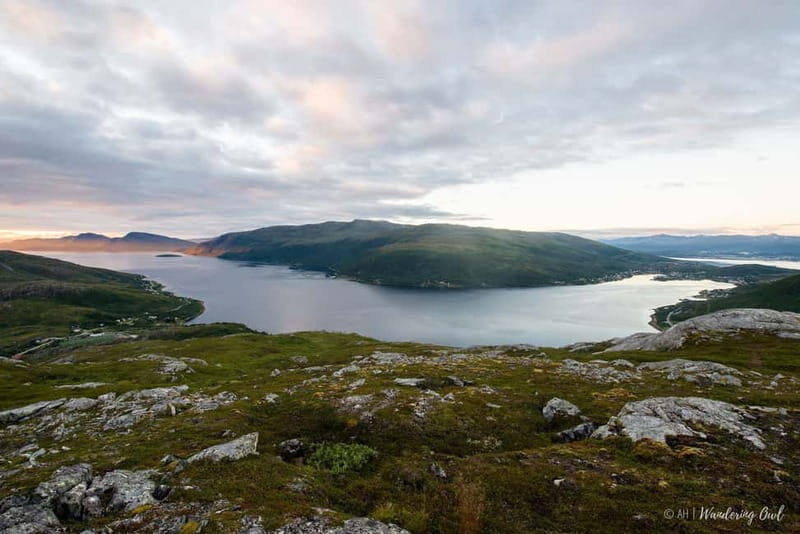 Tromsø: Express Summer Day Hike in the wilderness - Pricing and Value