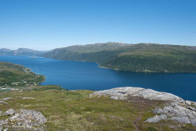 Tromsø: Express Summer Day Hike in the wilderness - Who Should Consider This Tour?
