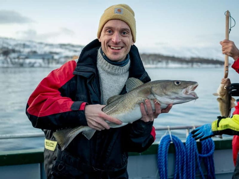 Tromsø: Fishing Sea Safari - Who Would Love This Tour?