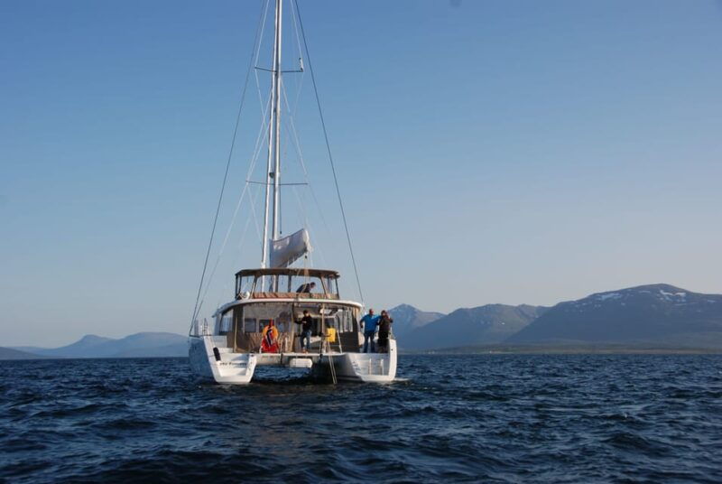 tromso-fjord-and-islands-luxury-catamaran-cruise