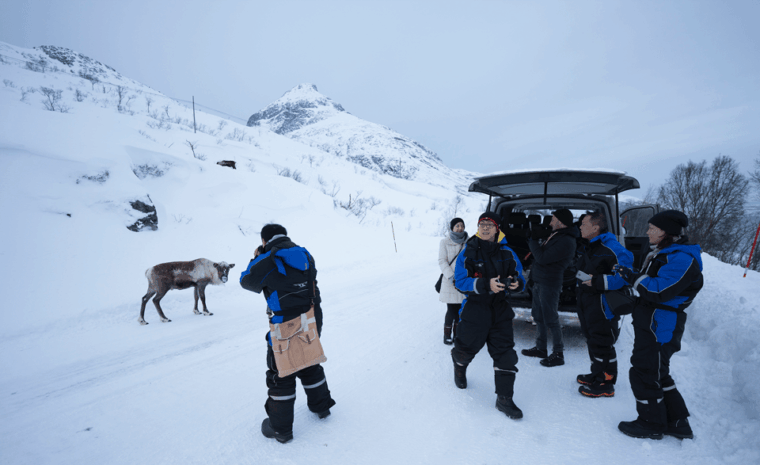 tromso-fjord-arctic-adventure-expedition