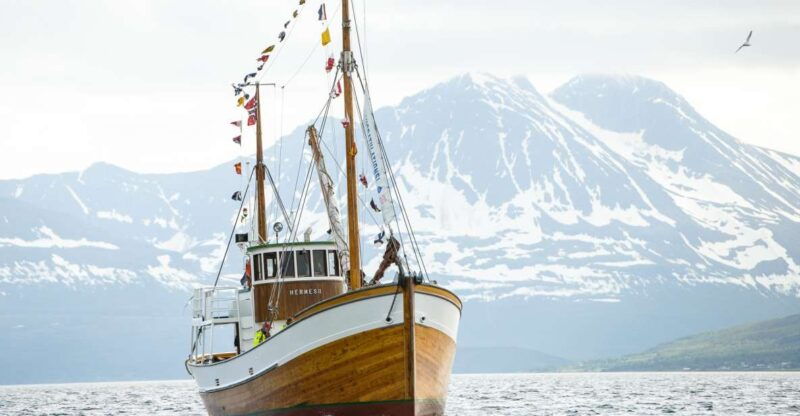tromso-fjord-fishing-cruise