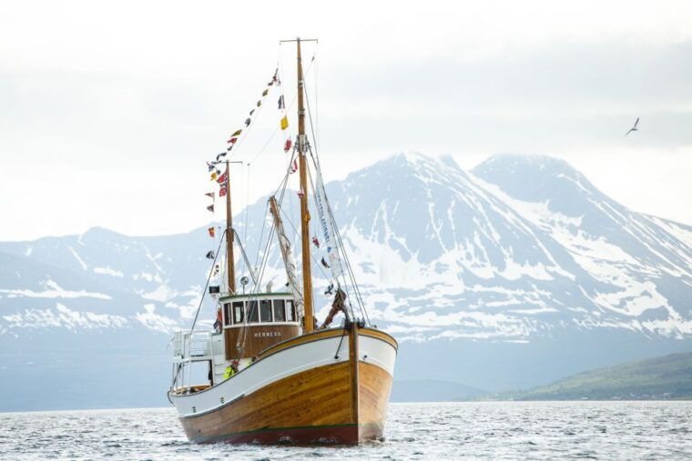 tromso-fjord-fishing-cruise