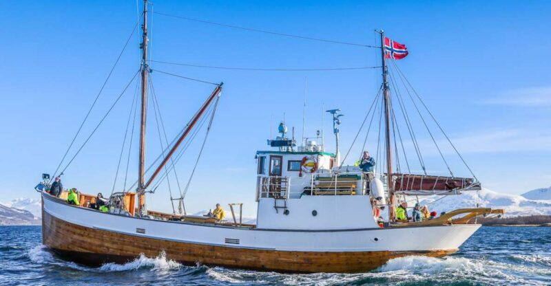 tromso-fjord-history-cruise-with-snack-and-drinks