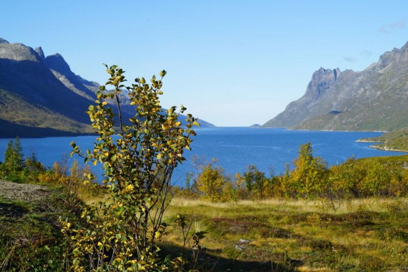 tromso-fjord-sightseeing-in-a-tesla-x-luxury-electric-car
