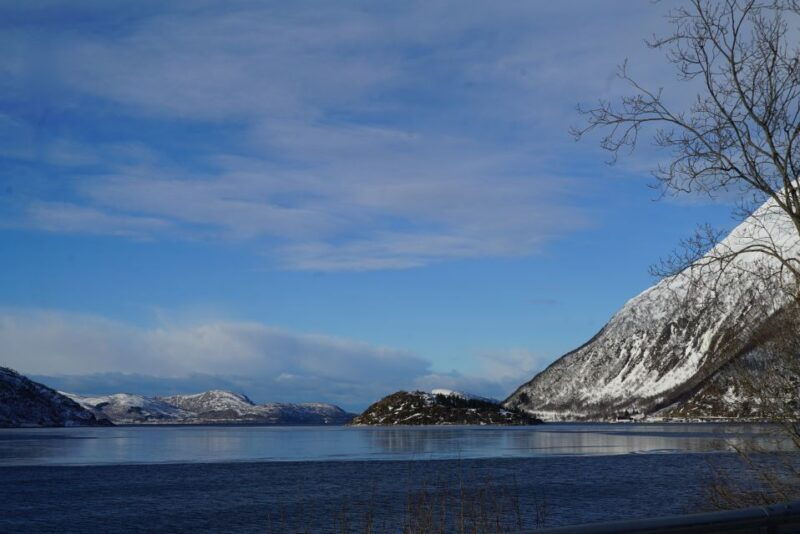 tromso-fjord-sightseeing-in-a-tesla-x-luxury-electric-car