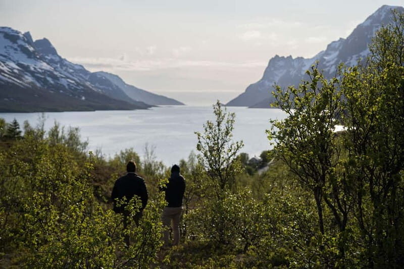 Tromsø: Fjord Tour and Visit to Sommarøy with Expert Tour Guide in Italian - An In-Depth Look at the Fjord and Sommarøy Tour