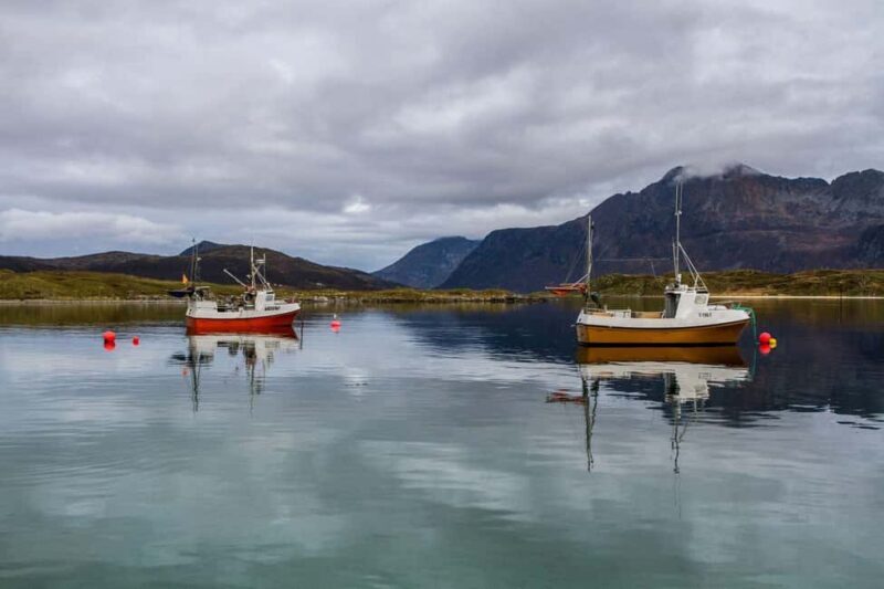 Tromsø: Fjord tour in a minibus and fish soup at Sommarøy - Tromsø: Fjord Tour in a Minibus and Fish Soup at Sommarøy — An Authentic Arctic Adventure