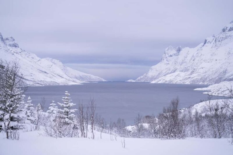 Tromsø: Fjord Tour to Sommarøy with Expert Spanish-speaking Guide - Frequently Asked Questions
