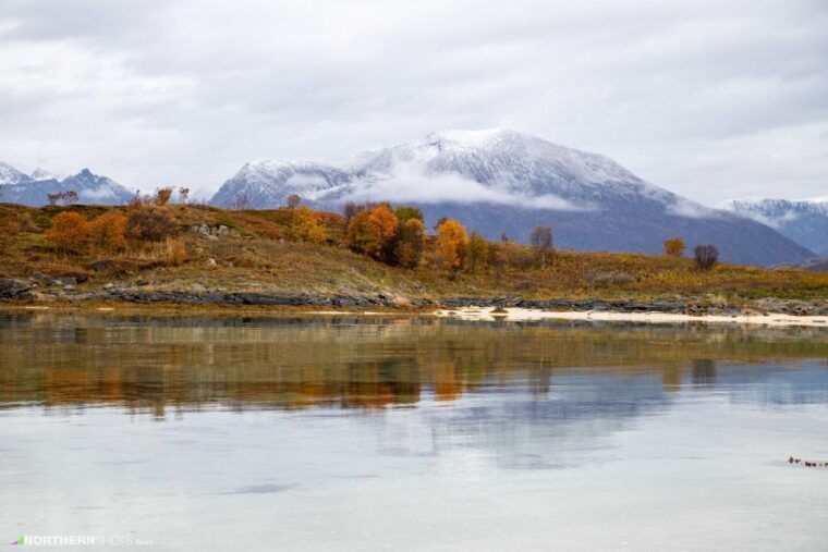 tromso-fjord-tour-with-lunch