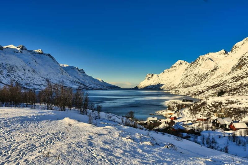 Tromsø: Fjords and Sommarøy Tour with Local Lunch - Why You Should Consider This Tour