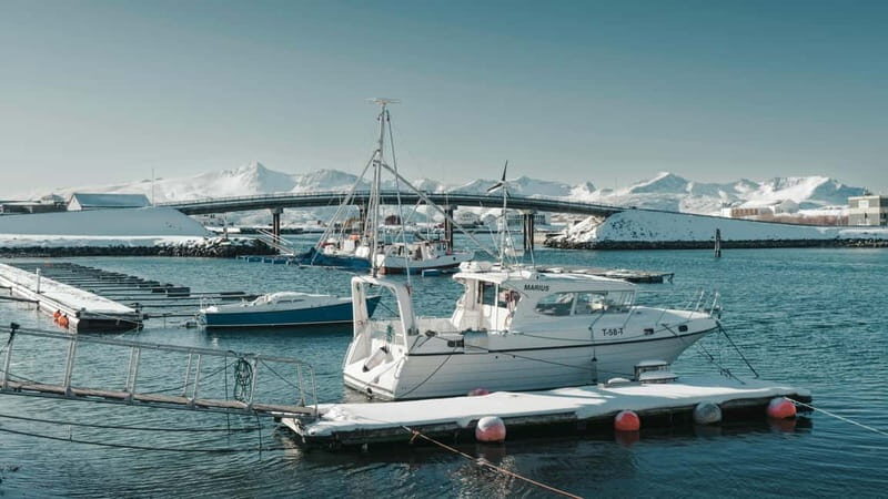 Tromsø: Fjords and Sommarøy Tour with Local Lunch - Final Thoughts