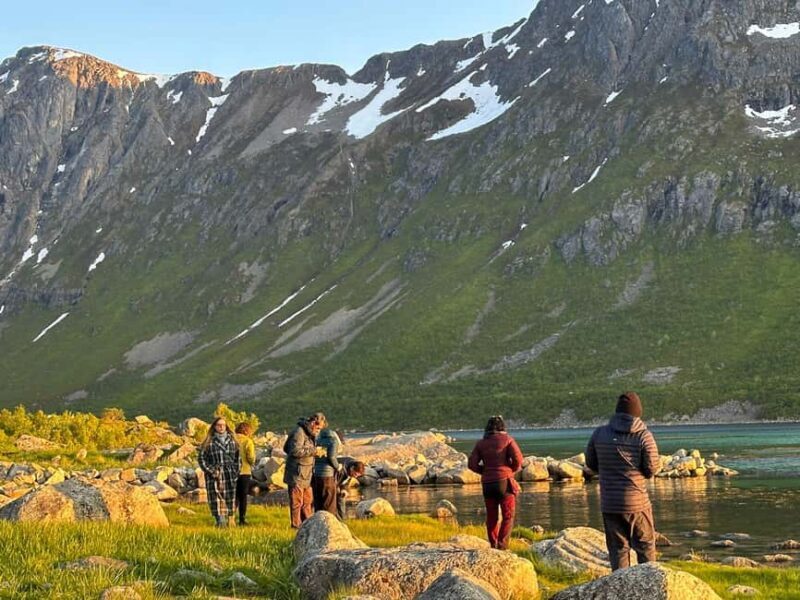 Tromsø: Fjords and Wildlife Tour in a Minibus - Exploring the Itinerary and Highlights