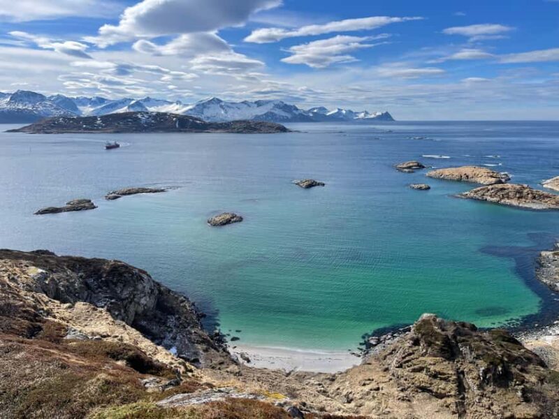 Tromsø: Fjords and Wildlife Tour in a Minibus - Is It Worth the Price?