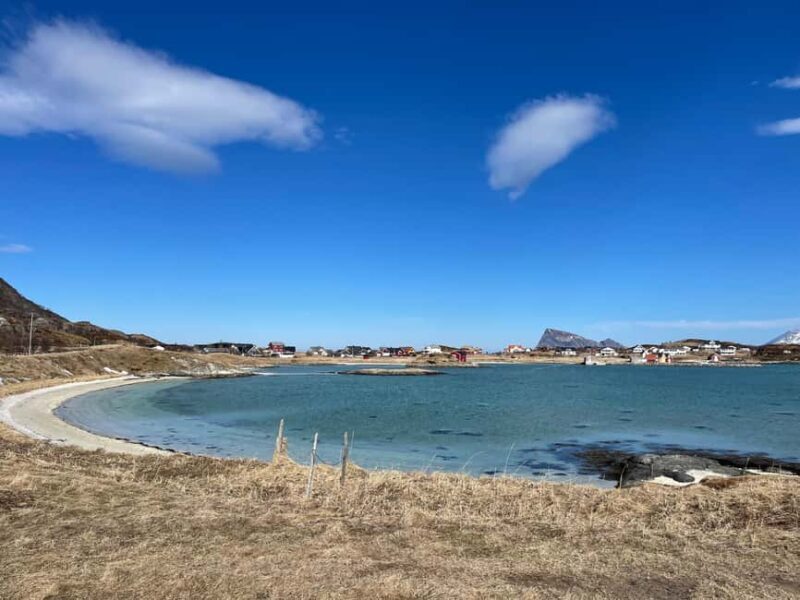 Tromsø: Fjords and Wildlife Tour in a Minibus - The Sum Up