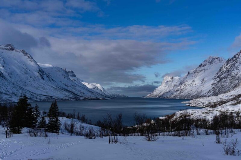 tromso-fjords-beaches-tour-with-campfire-and-photos
