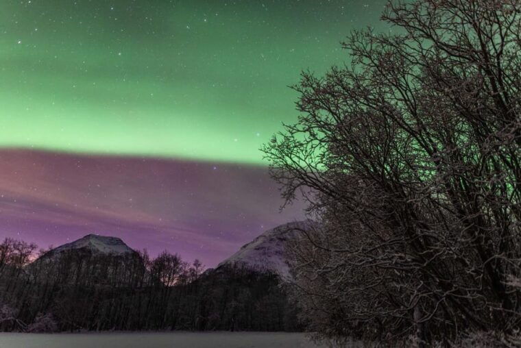 tromso-fjords-beaches-tour-with-campfire-and-photos