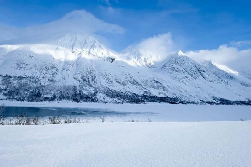 Tromsø: Fjords, Mountains and City Highlights Day Tour - Why This Tour Is Great for You
