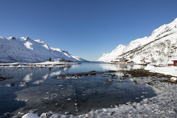 tromso-fjords-road-trip-with-fire-in-grill-cabin-by-the-beach