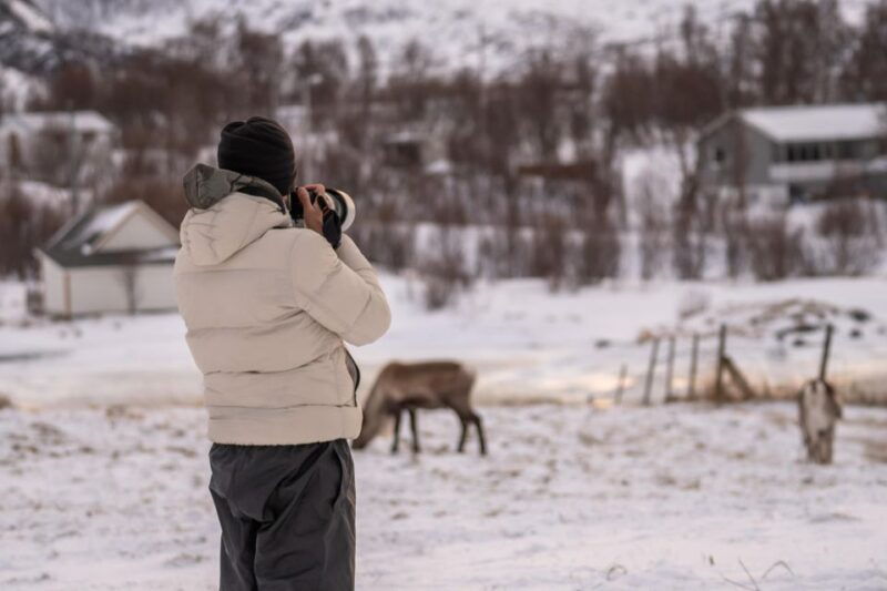 tromso-fjords-tour
