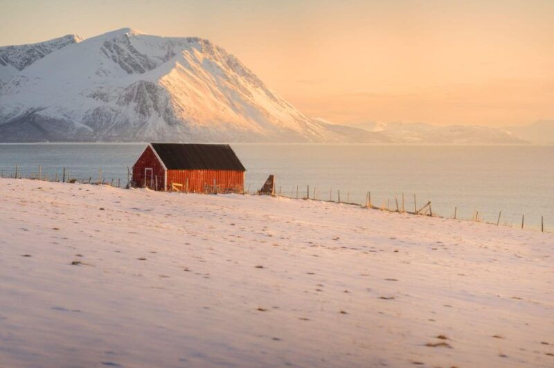 tromso-fjords-tour