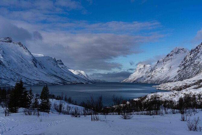 tromso-fjords-tour-with-campfire-and-photos-2