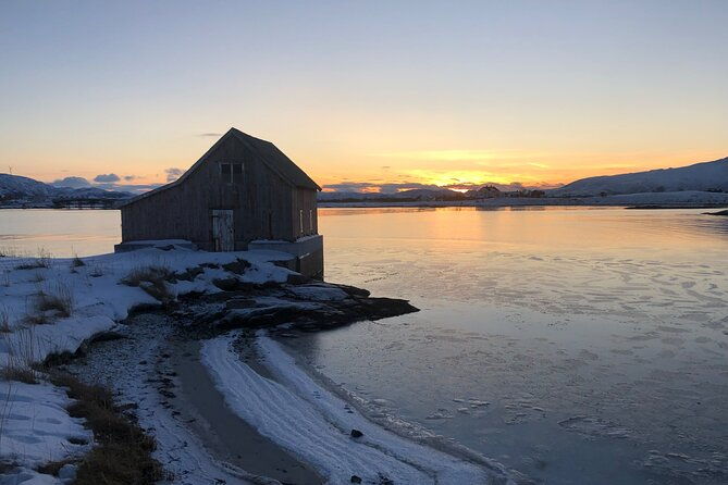 tromso-fjords-tour-with-campfire-and-photos-2