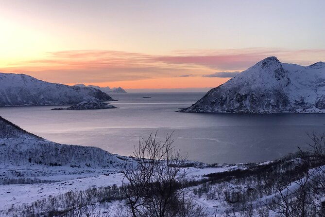 tromso-fjords-tour-with-campfire-and-photos