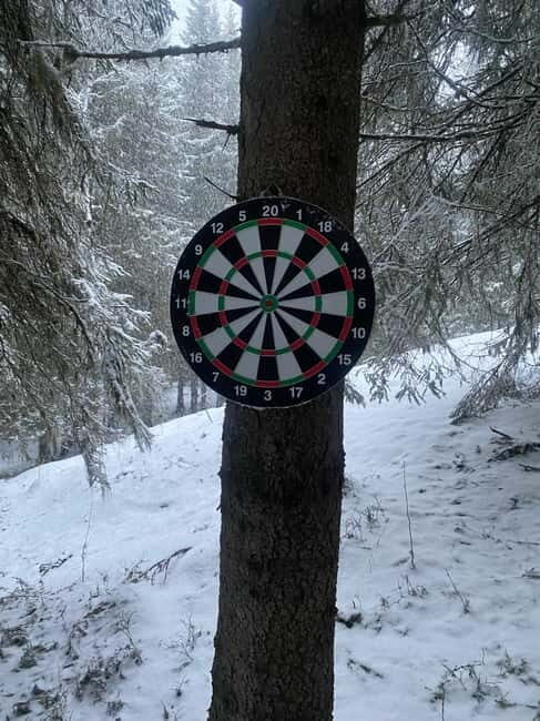 Tromsø: Forest escape adventure - What to Expect from the Tromsø Forest Escape Adventure
