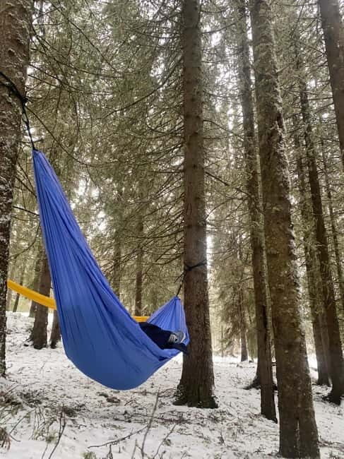Tromsø: Forest escape adventure - Frequently Asked Questions
