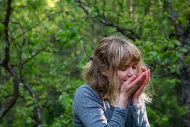 Tromsø: Guided Forest Bathing Experience - Exploring the Experience in Detail