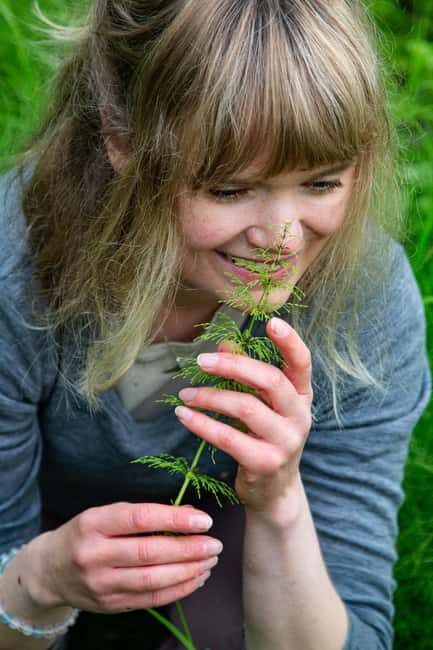 Tromsø: Guided Forest Bathing Experience - Who Will Love This Tour?