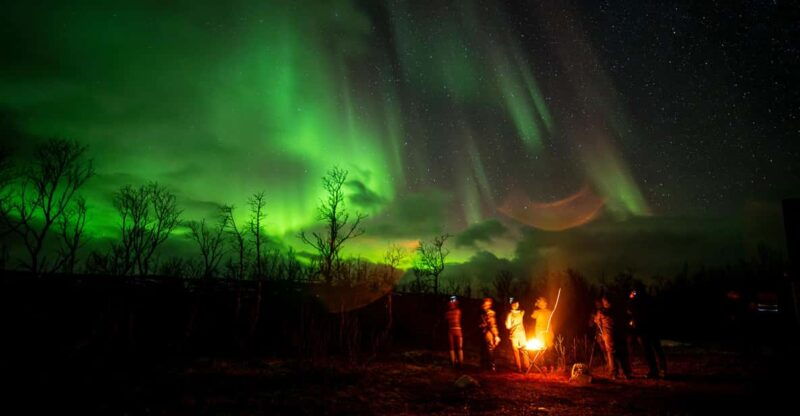 tromso-guided-northern-lights-safari-by-sprinter-minibus