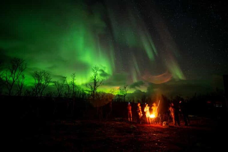 tromso-guided-northern-lights-safari-by-sprinter-minibus