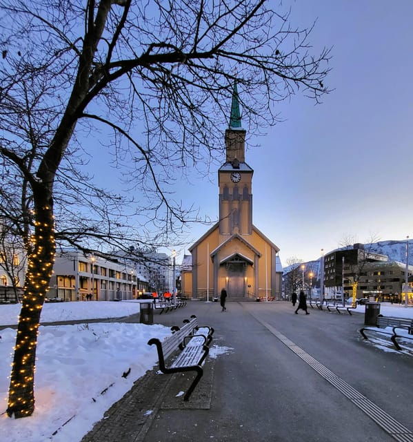 tromso-guided-polar-bear-walk-incl-polaria-polar-museum