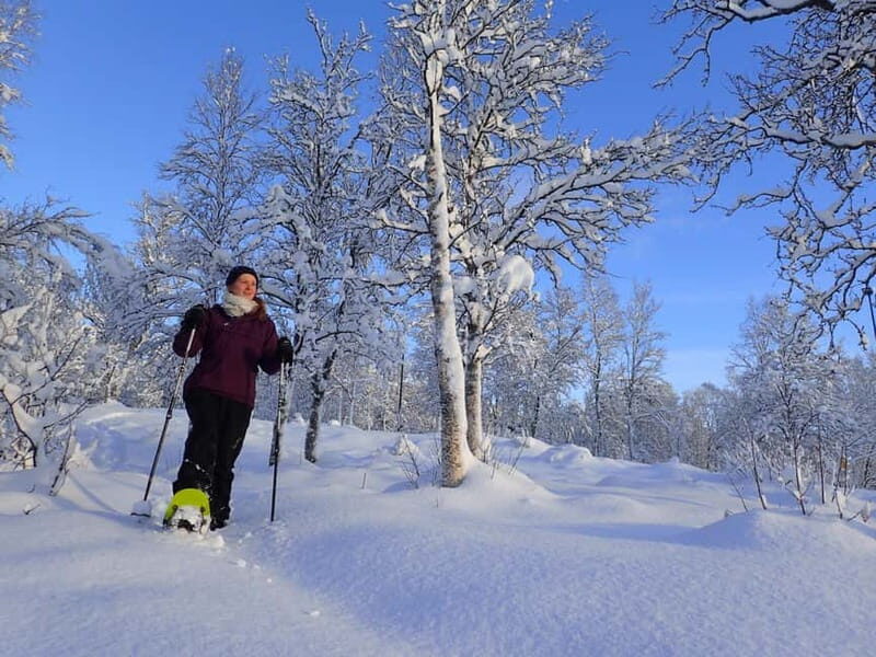 Tromsø: Guided snowshoe trip with a campfire - Authentic Experiences and Traveler Insights  