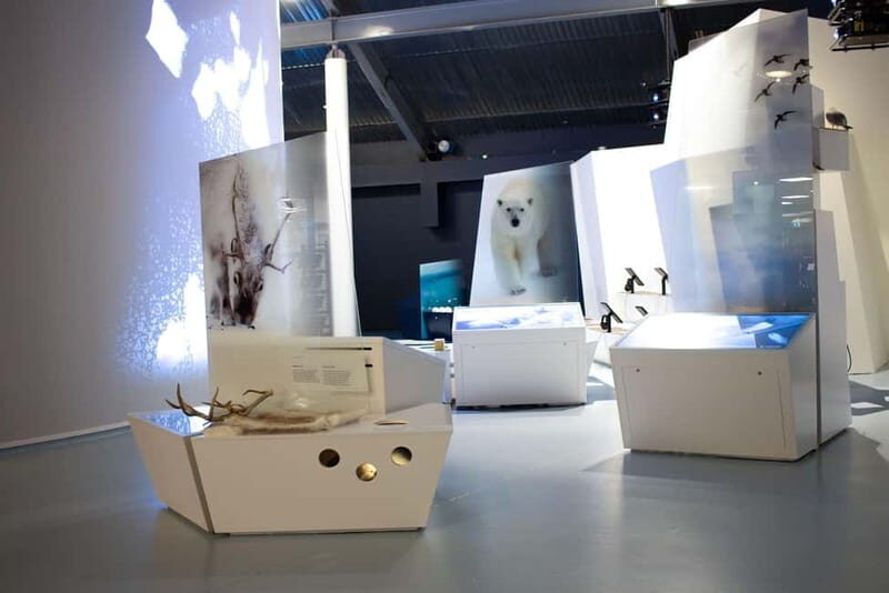 Tromsø: Guided Tour of Polaria - A Practical and Authentic Tour Experience in Tromsø