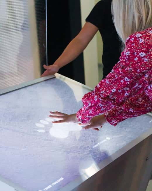 Tromsø: Guided Tour of Polaria - FAQ