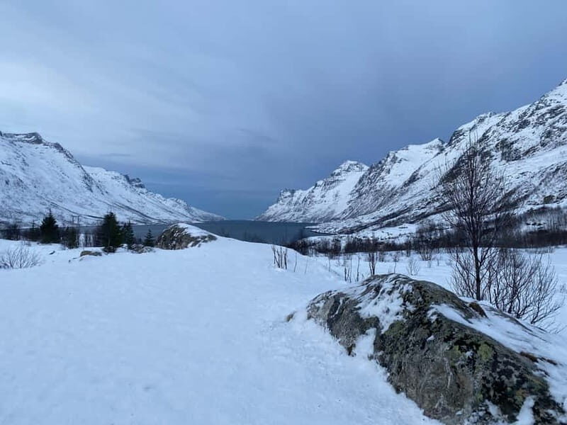 Tromsø Half-Day Tour: Fjords & Sommarøy Adventure - Key Points